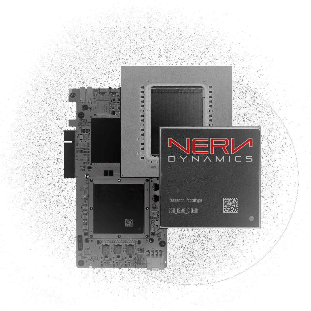 Nerv Dynamics